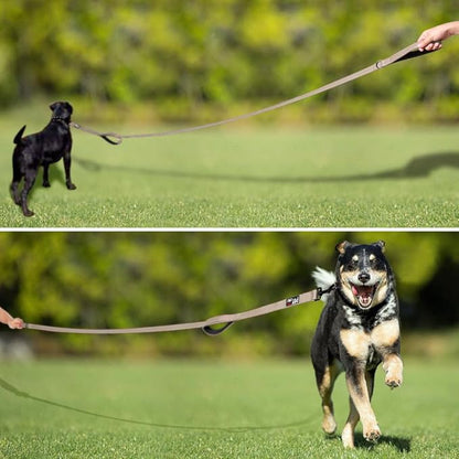 Plutus Pet Double Handle Dog Leash 4ft, Heavy Duty, Reflective Dual Handle Dog Leash for Safety Training, for Medium Large Dogs,2 Handle Leads(Beige)