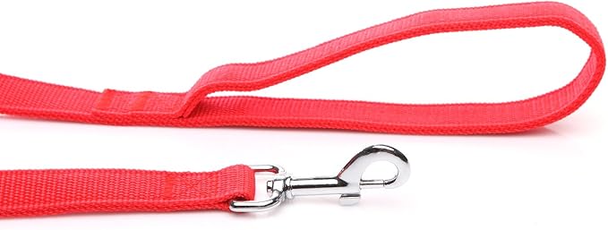 Strong Nylon Dog Leash with 2-Layer, 4 FT/ 6 Feet Long, 1 Inch Wide for Medium Large Dogs (1'' x 5 FT, Red)