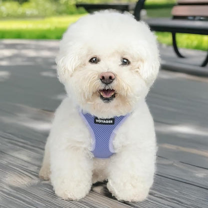 Best Pet Supplies Voyager Step-in Air Harness - All Weather Mesh, Reflective, No Pull Harness for Dogs, Cats - Secure with Hook & Loop Fastener, Buckle, Double D-Rings - Lavender, XXXS