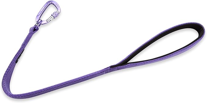 Hyhug Pets 24 Inches Nylon Durable Short Leash with Comfort Handle and Lightweight Aviation Aluminium Carabiner Lead - Large Dogs Walking,Training. (24 Inches, Ultra Violet)