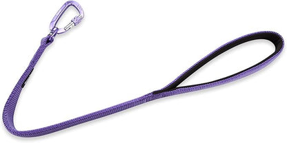 Hyhug Pets 24 Inches Nylon Durable Short Leash with Comfort Handle and Lightweight Aviation Aluminium Carabiner Lead - Large Dogs Walking,Training. (24 Inches, Ultra Violet)