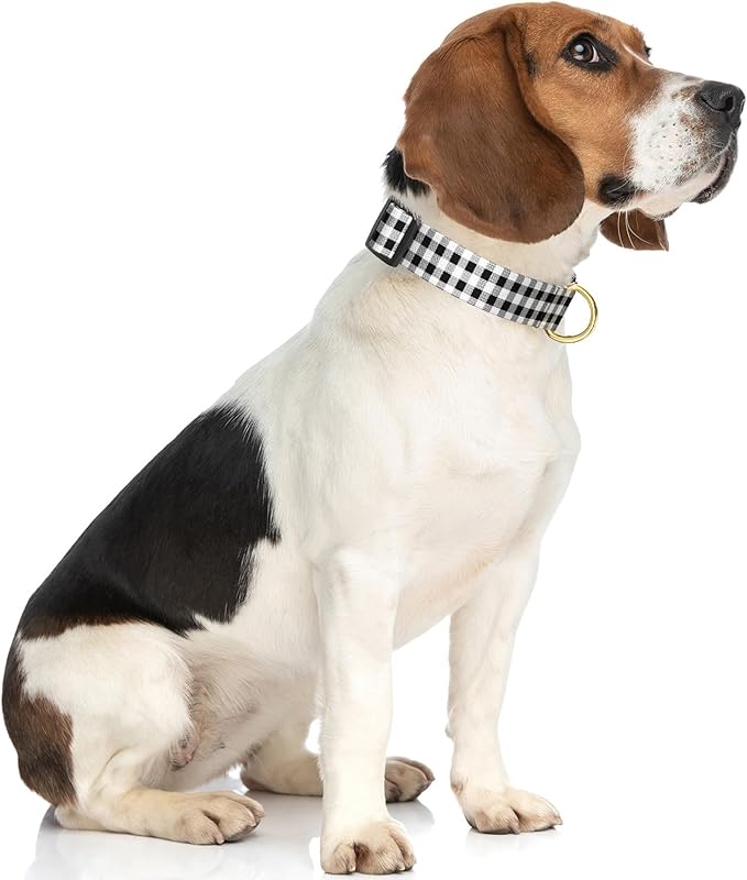 Rnivvi Dog Collar for Medium Dogs, Cute Heavy Duty Adjustable Puppy Collar with Quick Release Buckle for Boy Girl & Female, Pet Accessories for Walking Running, M Length 1" Width, Black White Tartan