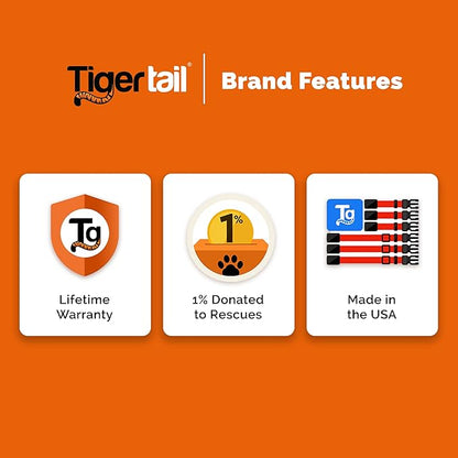 Tiger Tail Medium Sky Blue Dog Collar | Waterproof and Odor-Proof for Active Pets | Durable, Anti-Mat, and Lightweight Design | Made with Premium Coated Nylon | Suitable for Medium Breed Dogs