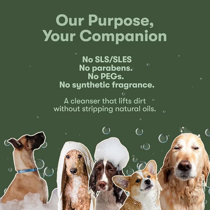 PUPPI Gentle Dog Shampoo (Amberis) | 15.5 fl oz. / 460 ml | Sulfate-Free Dog Wash | Enriched with Aloe Vera and Cucumber Extract | Hypoallergenic Dog Shampoo Sensitive Skin