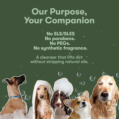 PUPPI Gentle Dog Shampoo (Amberis) | 15.5 fl oz. / 460 ml | Sulfate-Free Dog Wash | Enriched with Aloe Vera and Cucumber Extract | Hypoallergenic Dog Shampoo Sensitive Skin