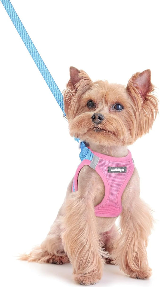 rabbitgoo Dog Harness Small Sized and Leash Set, Step in Soft Light Puppy Vest, Breathable Mesh Pet Harness, Reflective for Safe Easy Walking, Blue & Light Pink XXS
