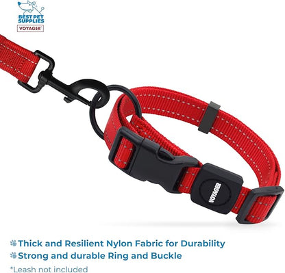 Best Pet Supplies Voyager Reflective Dog Leash or Collar with Neoprene Handle, for Small, Medium, and Large Breed Puppies, Cute and Heavy Duty for Walking, Running and Training - Red, L