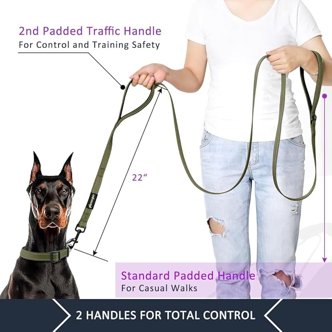 Plutus Pet Double Handle Dog Leash 5ft, Heavy Duty, Reflective Dual Handle Dog Leash for Safety Training, for Medium Large Dogs,2 Handle Leads, Ranger Green