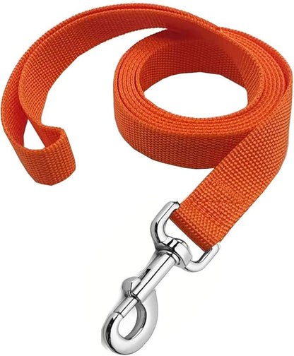 Strong Nylon Dog Leash, 4FT/ 5 FT/ 6FT Dog Leashes for Small Medium Dogs