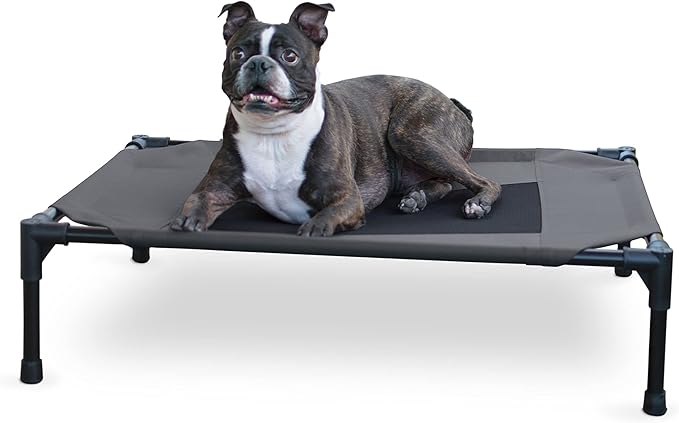 K&H Pet Products Outdoor Elevated Dog Cot, Breathable Cooling Elevated Cot Hammock Pet Bed for Medium Dogs, Washable Mesh Cover, Raised Metal Frame, Collapsible, Portable - Medium 32 X 25in Charcoal