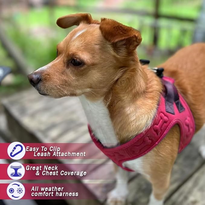 Comfort Fit Dog Harness Step in No Pull Harness for Small Medium Sized Dogs Soft Padded No Escape Harness Adjustable Easy Buckle with Leash Attachment D-Ring Extra Comfort Inside Velvet Plush XS Red