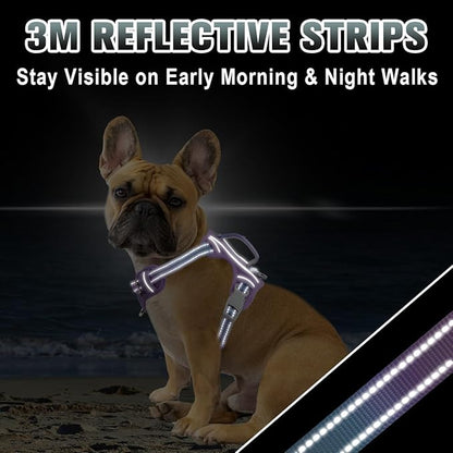 BARKBAY No Pull Dog Harness Large Reflective Dog Harness with Front Clip and Easy Control Handle for Walking Training Running with ID tag Pocket(Lavender Sky,S)