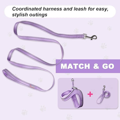 Cat Harness and Leash Set,Escape Proof Kitten Harness,Step in Adjustable Soft Lightweight,Easy Control,Reflective Strips Comfortable for Walking Travel(Violet Purple,XXS)