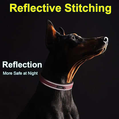 Fida Heavy Duty Dog Collar, Ultra Comfortable Soft Neoprene Padded, Adjustable Reflective Nylon Pet Collar with Durable Metal Belt Buckle for Large Breeds (L, Pink)