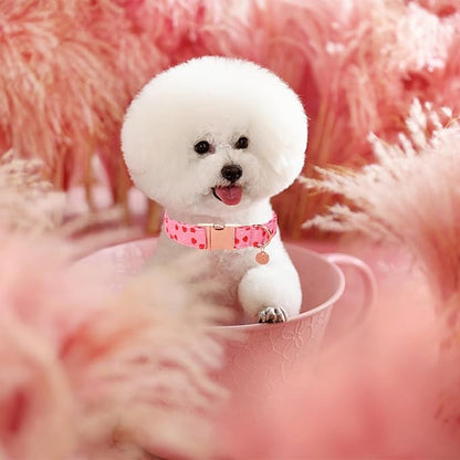 UP URARA PUP Valentine's Dog Collar,Pink Heart Dog Collar for Small Medium Large Girl Boy Dogs or Cats, Wedding Dog Collar Match Dog Leash, Pet Collar with Metal Buckle,XL