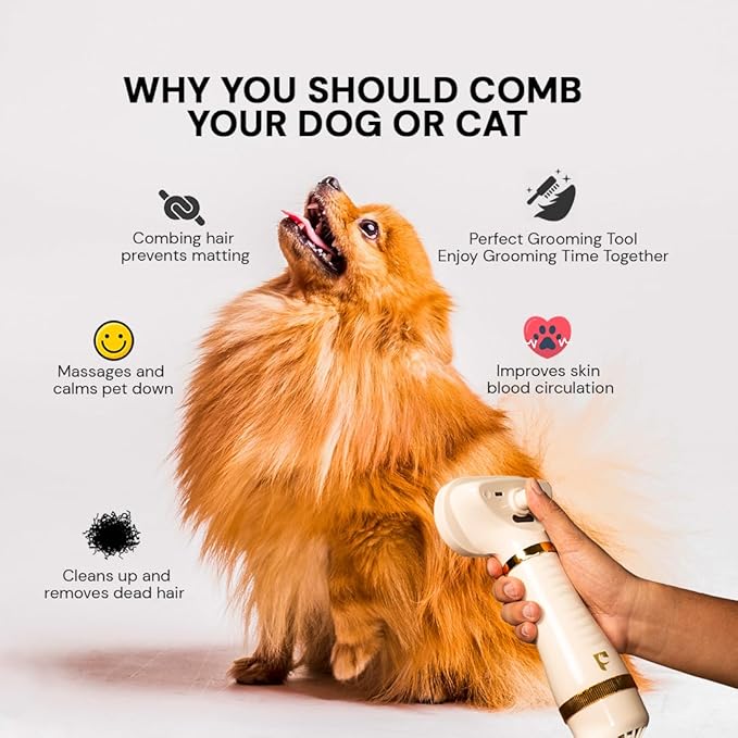 Pet Steam Brush Grooming Dryer for Dogs & Cats – 3-in-1 Grooming Tool with Gentle Steam, 600W Motor, Deshedding, Drying & Fur Fluffing for All Coat Types