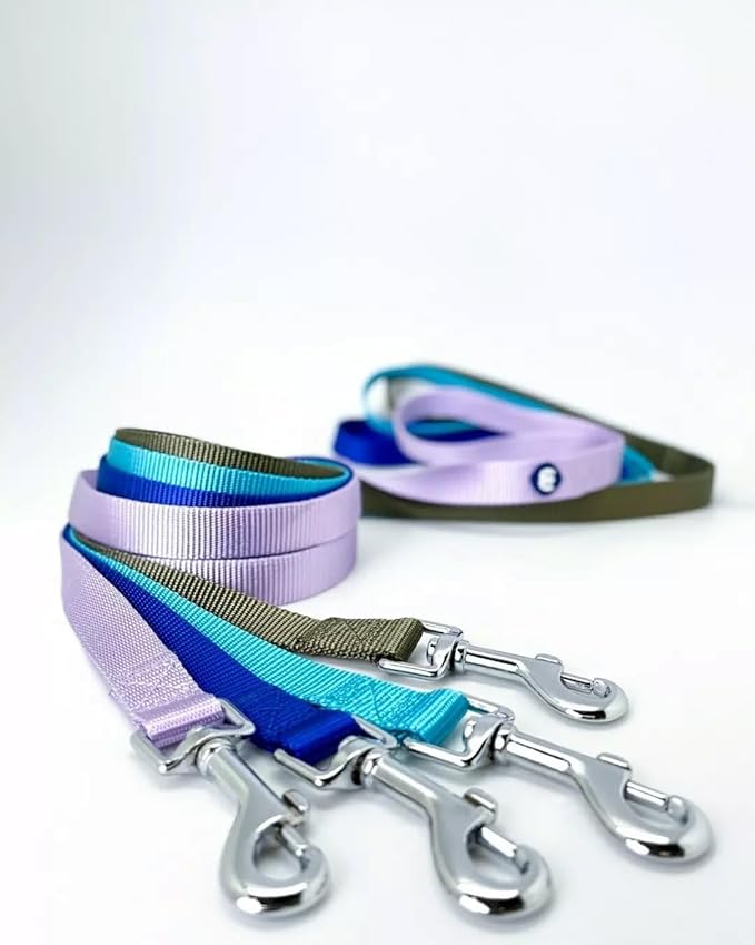 Blueberry Pet Essentials Purple Dog Leash for Medium - 5' * 3/4" Dogs | Heavy Duty Nylon Lead | Lightweight Puppy & Cat Leash for Walking & Training