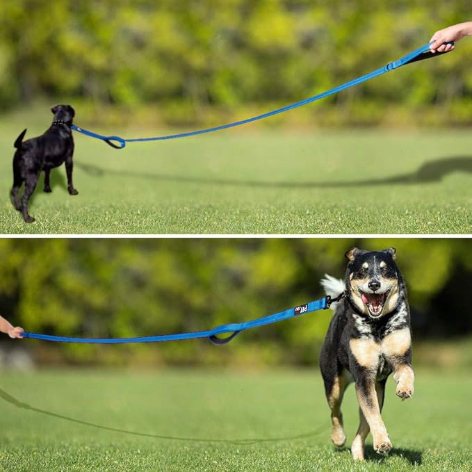 Plutus Pet Dog Leash 6ft Long,Traffic Padded Two Handle,Heavy Duty,Reflective Double Handles Lead for Control Safety Training,Leashes for Large Dogs or Medium Dogs,Dual Handles Leads(Light Blue)