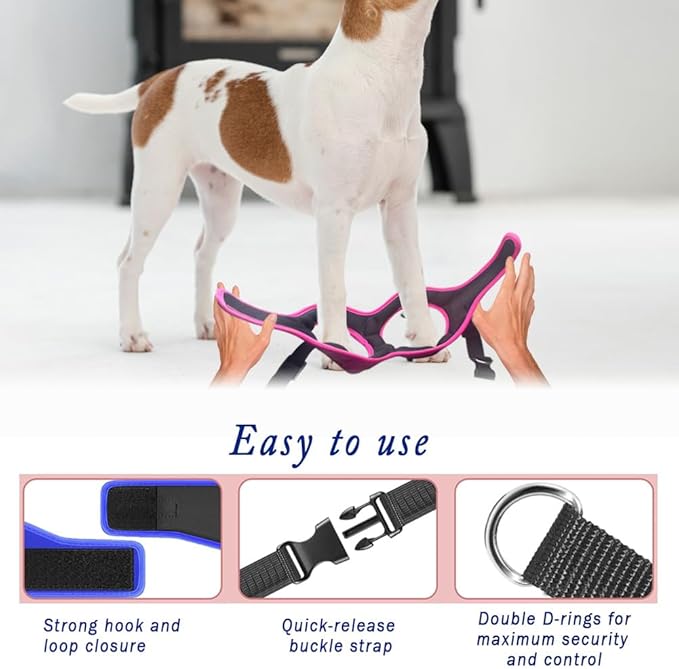 Comfort Fit Dog Harness Soft Padded No Pull Harness with Adjustable Buckles for Small Medium Large Dogs Step in Pet Vest with Easy Control Handle for Walking Jogging Running Training Dogs & Puppies
