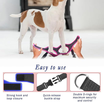 Comfort Fit No Pull Dog Harness for Small Medium & Large Dogs – Soft Padded Adjustable Buckles Step in Pet Harness with Leash Clips Reflective Straps with Easy Control & Handle Pet Vest Harness