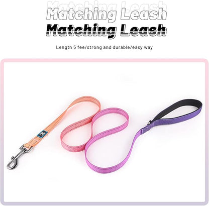 Roses&Poetry Reflective Dog Collar and Leash Set, Purple Martingale Dog Collar and Leash for Medium Dogs, Adjustable Durable Nylon Pet Collars with Leashes for Walking,Playing,Training（Mistyrose-M）