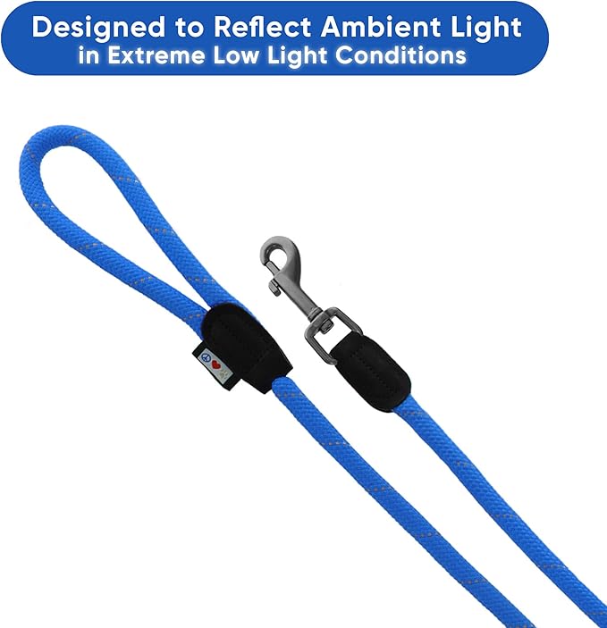Pawtitas Double Leash for Two Dogs Great for Walking & Training Comfortable Shock Absorbing Reflective Pet Rope Leash for 2 Dogs 6ft - Medium/Large - Blue
