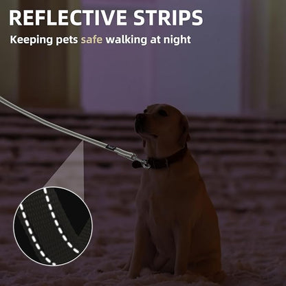 PUPTECK Reflective Dog Leash with Comfortable Padded Handle Durable Nylon Dog Lead for Small Medium and Large Dogs Cats Walking Running Training Outside, Beige