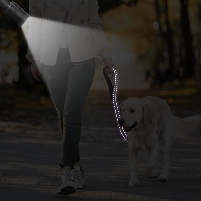 Dog Leash, Short Dog Leash, Leashes for Large Breed Dogs,Traffic Padded Handle- Reflective Training Lead, Perfect for Medium to Large Dogs(24 Inch, Purple)