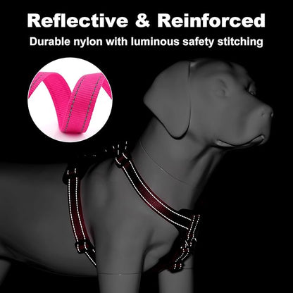 Plutus Pet Adjustable No Pull Dog Harness with Leather Accents, Heavy Duty Reflective Nylon Vest for Training, Hiking, Easy Walk Harness for Small, Medium, Large Dogs (Hot Pink, M)