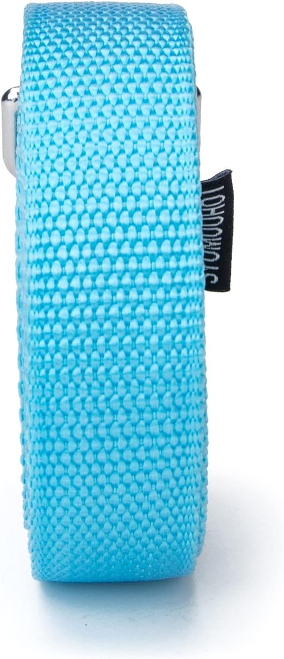 Siumouhoi Strong Durable Nylon Dog Training Leash, 1 Inch Wide Traction Rope, 6 ft Long, for Small and Medium Dog (Mint Blue, 6 Feet)