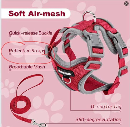 Small Dog Harness and Leash Set，No Pull Adjustable Pet Harness for Small Dogs ，Breathable Mesh Reflective Dog Vest Harness (Red, XXS)
