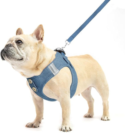 PUPTECK Dog Harness and Leash Set for Small Medium Dogs No Pull Step-in Soft Mesh Puppy Cat Vest Harnesses Reflective at Night, Denim Steelblue M
