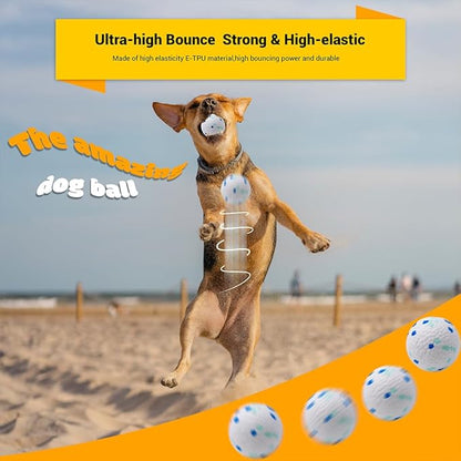 LIEVUIKEN Dog Balls Toys for Aggressive Chewers, Indestructible Durable Bouncy Floating Balls for Dogs to Fetch, Durable Solid Rubber Ball for Training Dog(2 PCS)