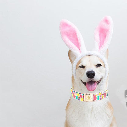 Elegant little tail Easter Dog Collar, Bunny Print Pet Collar Durable Cotton Dog Collars Girl or Boy Metal Collars Holiday Pet Gift Adjustable Dog Collar for Large Dogs