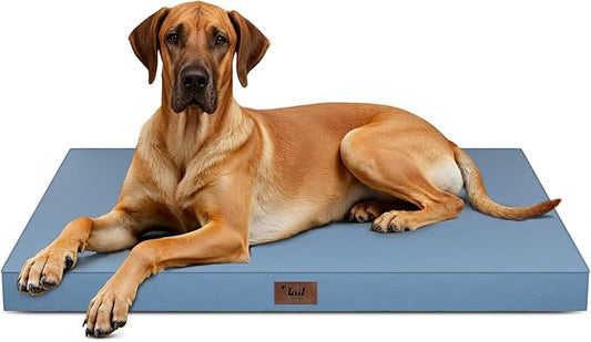 Tail Stories Outdoor Extra Large Dog Bed, Jumbo Waterproof Dog Bed for Large Dogs, Orthopedic Egg Crate Foam Pet Mat with Removable Oxford Cooling Cover, Blue