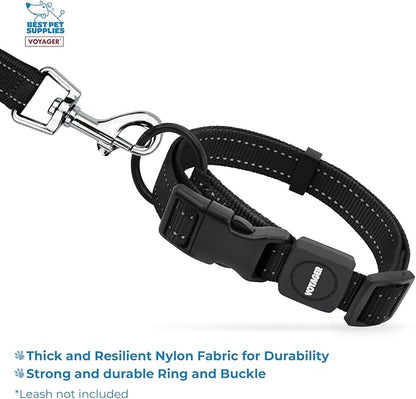 Best Pet Supplies Voyager Reflective Dog Leash or Collar with Neoprene Handle, for Small, Medium, and Large Breed Puppies, Cute and Heavy Duty for Walking, Running and Training - Black, S