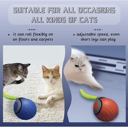 AMATFFUG Speedy Tail 2.0 Cat Toy,Interactive Cat Ball,CatToys for Indoor Cats,Chewie Viral CatBall,Adjustable Sports Rolling Toy,Electric RollingBall Christmas Birthday Gift for Pets.(Orange)