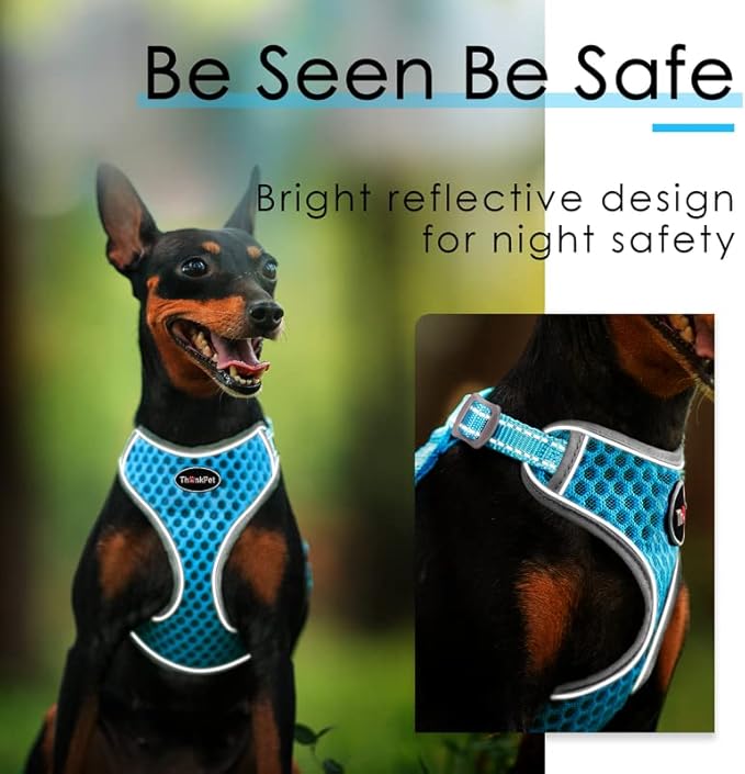 ThinkPet Reflective Breathable Soft Air Mesh No Pull Puppy Choke Free Over Head Vest Harness for Puppy Small Medium Dogs and Cats Light Blue Medium