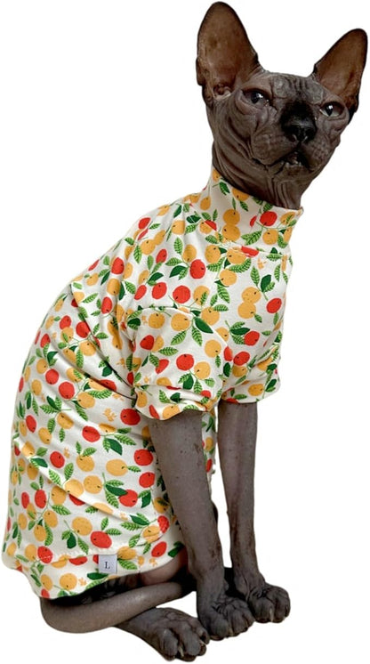 Limited Edition Sphynx Cat T-Shirts Elastic Hairless Cat Sweatshirt Pet Kitten Clothes Round Collar Kitten Shirts Vest Cats & Small Dogs Apparel (Kumquat, S (3.3-4.4 lbs))