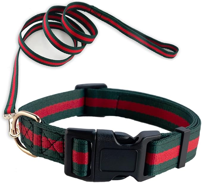 Premium Dog Collar and Leash,Safety and Durable Pet Collars Leashes,Luxury Fashion Dog Collar Gift Set for Medium Dogs