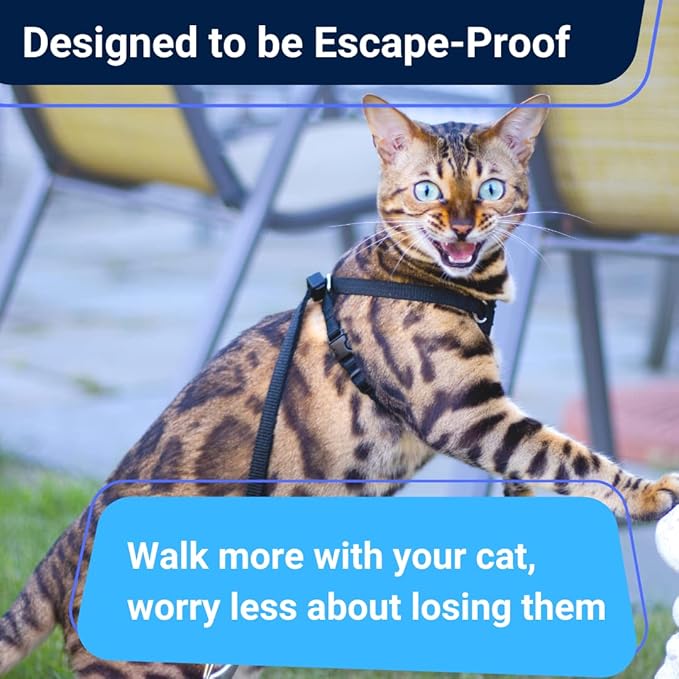 Houdini™ Escape Proof Cat Harness and Leash Set by OutdoorBengal for Walking Cats and Kittens (Vegan Leather, Large Cat)