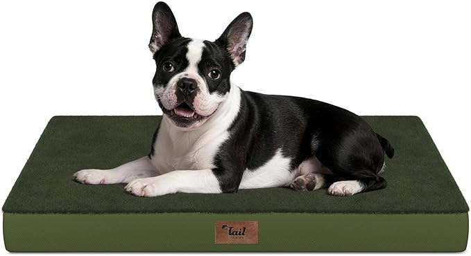 Tail Stories Plush Orthopedic Dog Bed for Medium Dogs & Puppies, Waterproof Dog Beds 29x18 Inch with Removable Washable Cover, Egg Crate Foam Flat Pet Mat, Olive Green