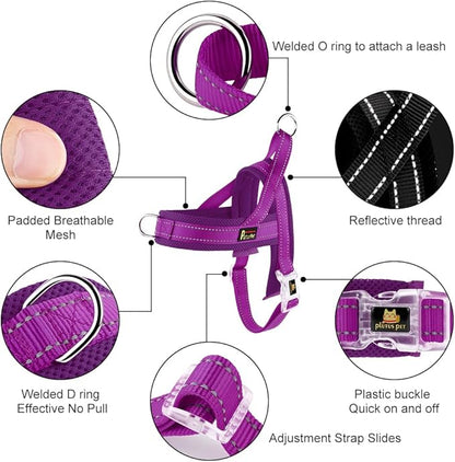 Plutus Pet No Pull Dog Harness with Breathable Mesh Padded, Adjustable Reflective Escape Proof Dog Harness, Quick Fit Dog Vest Harness for Small Medium Large Dogs(M, Purple)