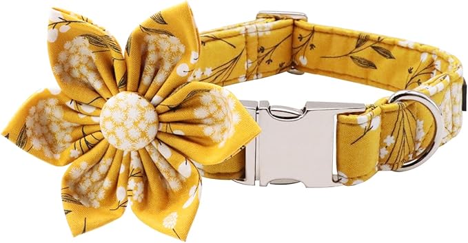 Lionet Paws Dog Collar with Flower, Soft and Comfortable, Adjustable Collar for Puppies and Cats Girl, Neck 8-12 inches