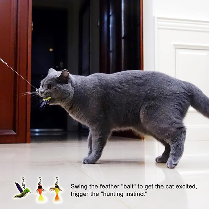 TTcat Cat Wand Toys Replacement Cat Toy Attachments,3 Pcs Hummingbird Insect Feathers Refills for Cat Wands.