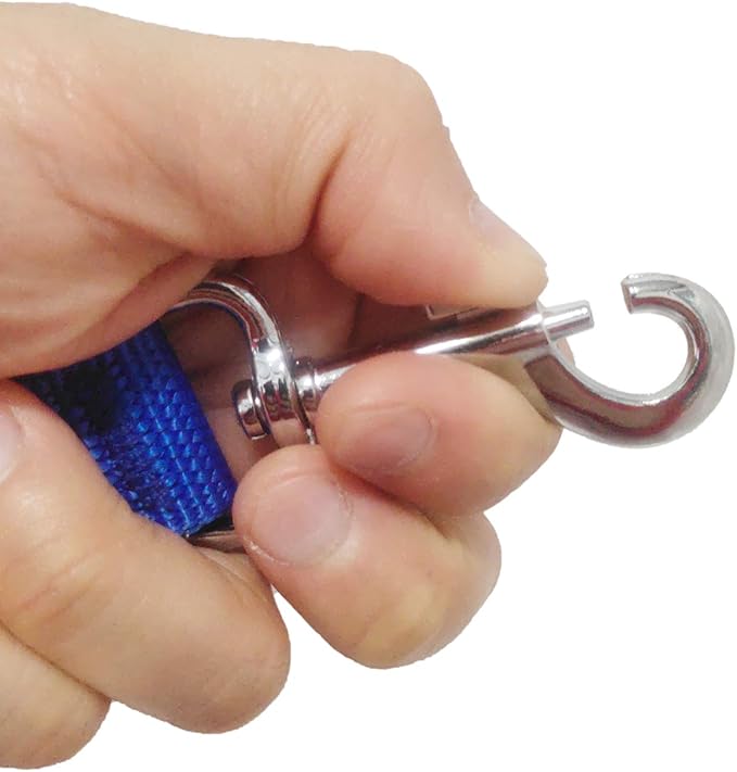 6FT Adjustable Dog Leash, Nylon Dog Leashes for Medium Large Dogs (Blue)