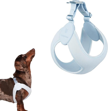 Ultra Comfortable Dog Harness Adjustable Soft Dog Vest, Alloy Buckle Closure Lightweight Stretchy Puppy Harness Step in for Small Sized Dogs Walking Training (Sierra Blue, M)