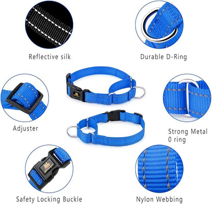 Plutus Pet Reflective Martingale Collar with Buckle - Durable and Adjustable Training Collar for No Pulling, Dog Choker Collar for Small Medium Large Dogs, Royal Blue, S
