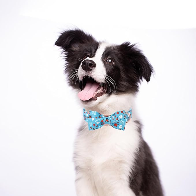 Valentines Dog Collar with Bowtie, Blue Heart Dog Collar with Bow, Cute Valentine Heart Pet Collar with Metal Buckle Adjustable for Boys&Girls Dogs, Small