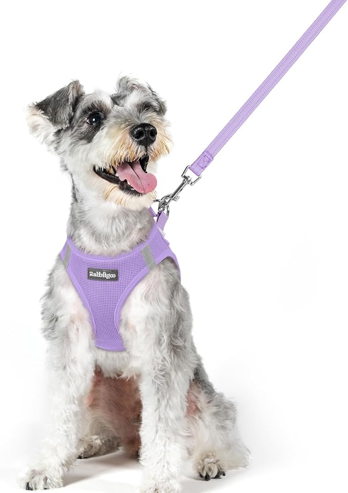 rabbitgoo Dog Harness Small Medium Sized and Leash Set, Step in Soft Light Puppy Vest, Breathable Mesh Pet Harness, Reflective for Safe Easy Walking, Light Purple XL